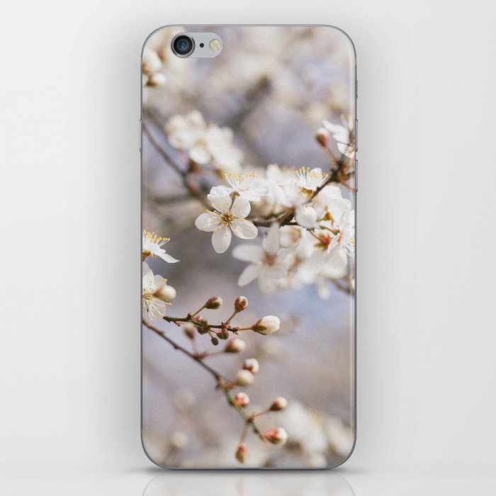 floral composition no. 4 iPhone Skin