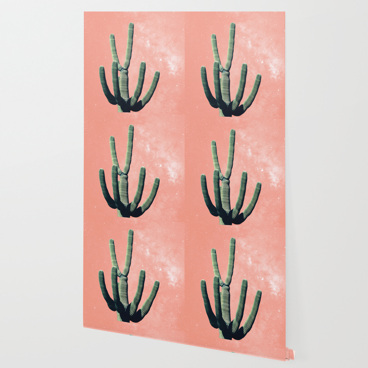 Cactus Mexican Succulent Boho Mexico Desert Pink Tropical Galaxy