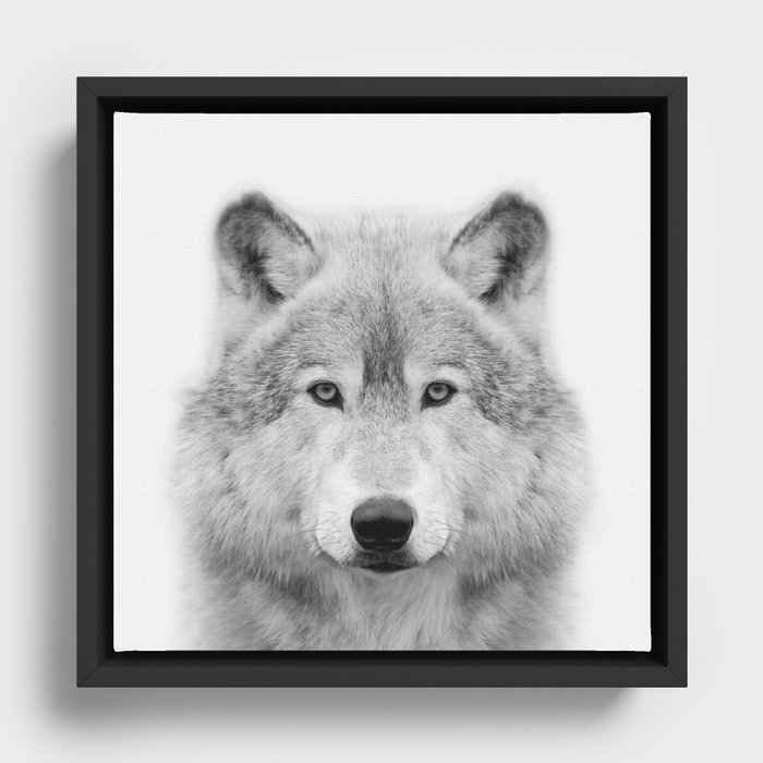 Wolf Framed Canvas
