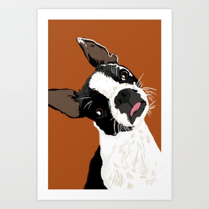 Orange boston 2024 terrier