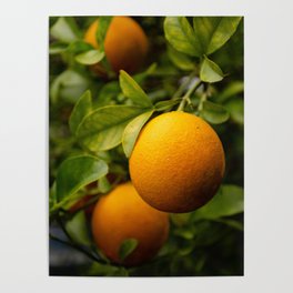 Hybrid Orange Poster