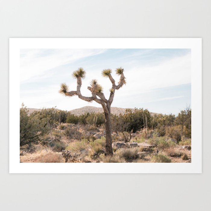 Art Print
