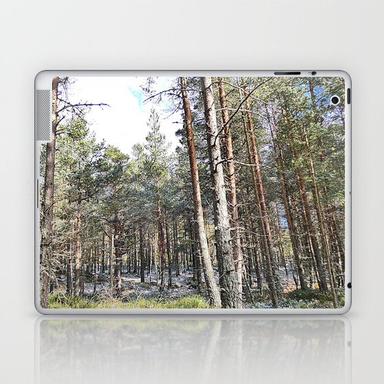 Scottish Highlands Magical Spring Woodland Scene in I Art and Afterglow Laptop & iPad Skin