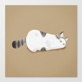 cat Canvas Print
