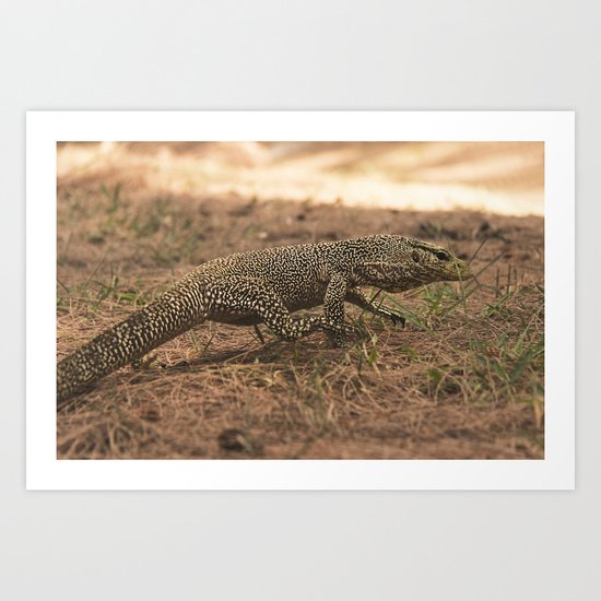 Monitor Lizard (Varanus) Art Print