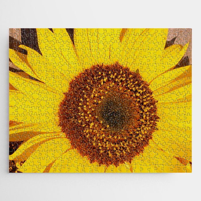 Pretty Sunflower Jigsaw Puzzle