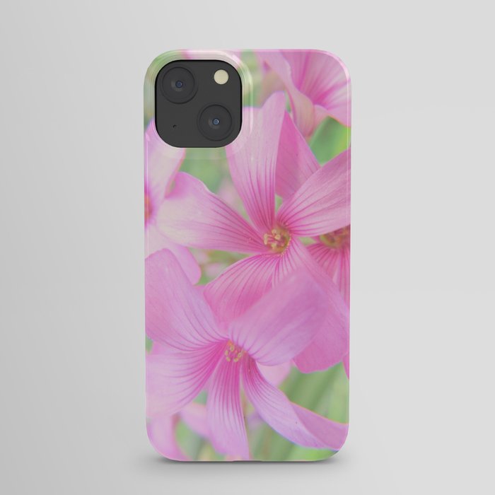 Coral Pink Petals iPhone Case