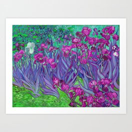 Vincent Van Gogh Irises Painting Violet Fuchsia Palette Art Print