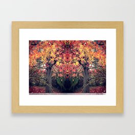 MANDALAS-Nature Série 02 Framed Art Print