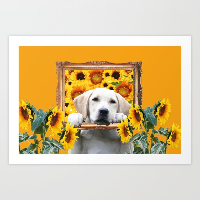 Golden Retriever with Frame and sunflowers Art Print