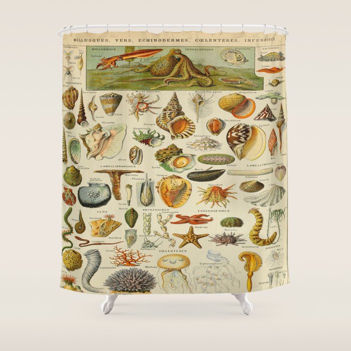 Ocean Animals Vintage Scientific Ilration French Age Encyclopedia Lithographs Educational D Shower Curtain By Artofscience