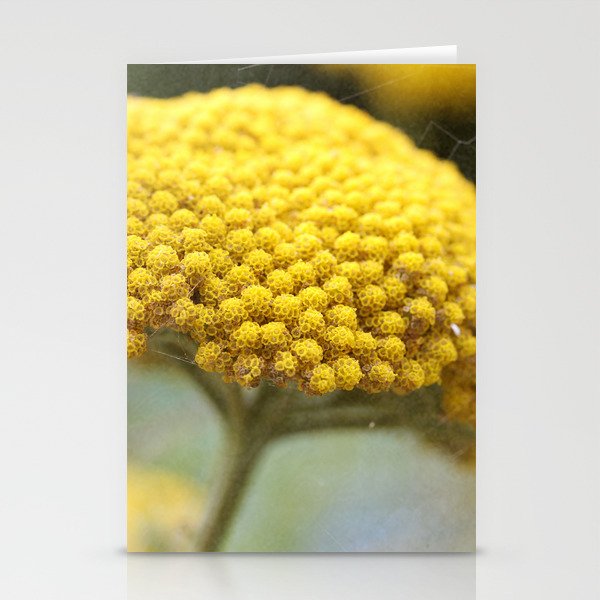 Vintage Yellow Yarrow Stationery Cards