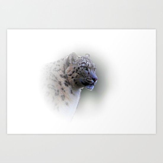 snow leopard Art Print