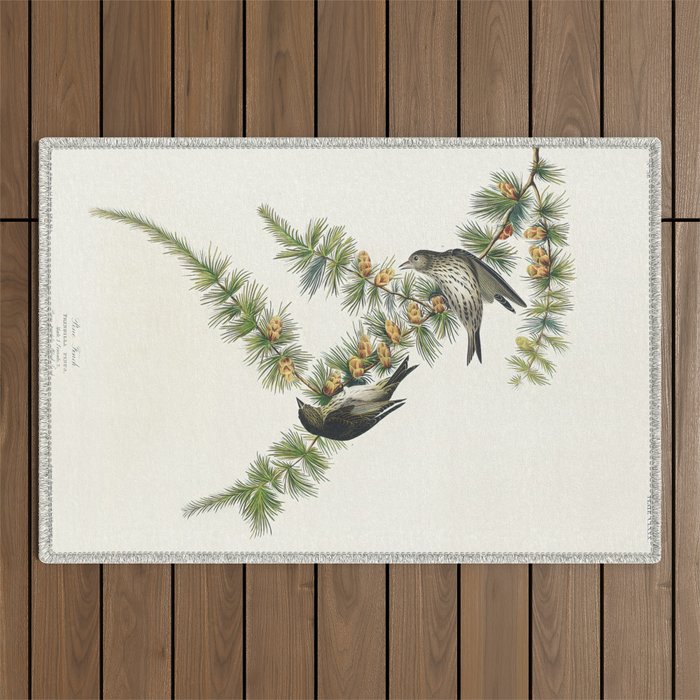 Pine Finch from Birds of America (1827) by John James Audubon  Outdoor Rug