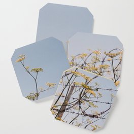 Yellow Flowers on Barbed Wire Coaster