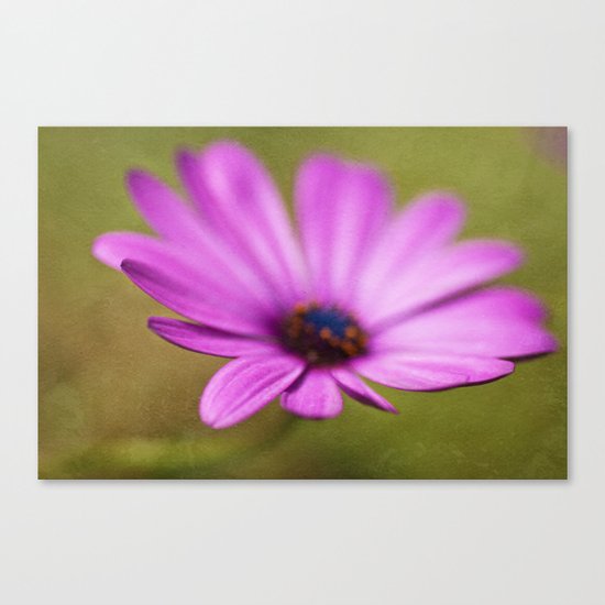 Purple Textured Flower II Canvas Print