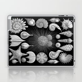 Sea Shells and Starfish (Thalamophora) by Ernst Haeckel Laptop & iPad Skin