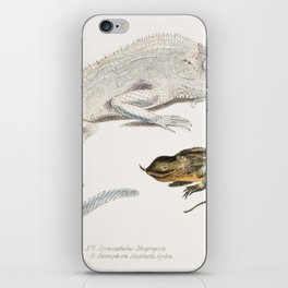 Macgregor's Lyre Headed Lizard & Stoddart's Unicorn Lizard iPhone Skin