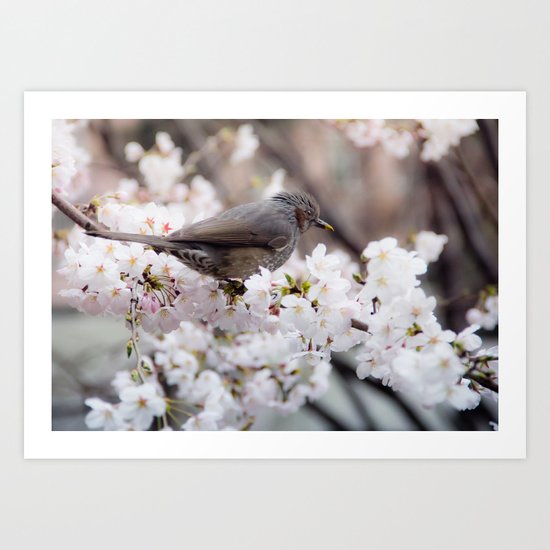 Spring Dream Art Print