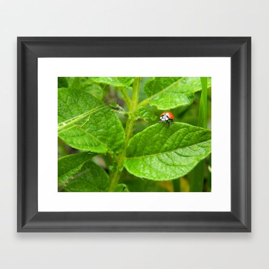 Lady Bug Framed Art Print