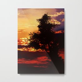 Baum im Abendrot Metal Print | Sonnenuntergang, Kassel, Photo, Abendrot, Nature, Dekorativ, Berpark, Baum, Abend 