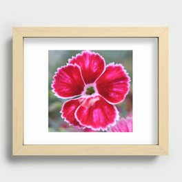 The Red Flower. Recessed Framed Print