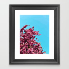 Blossoms in DC Framed Art Print