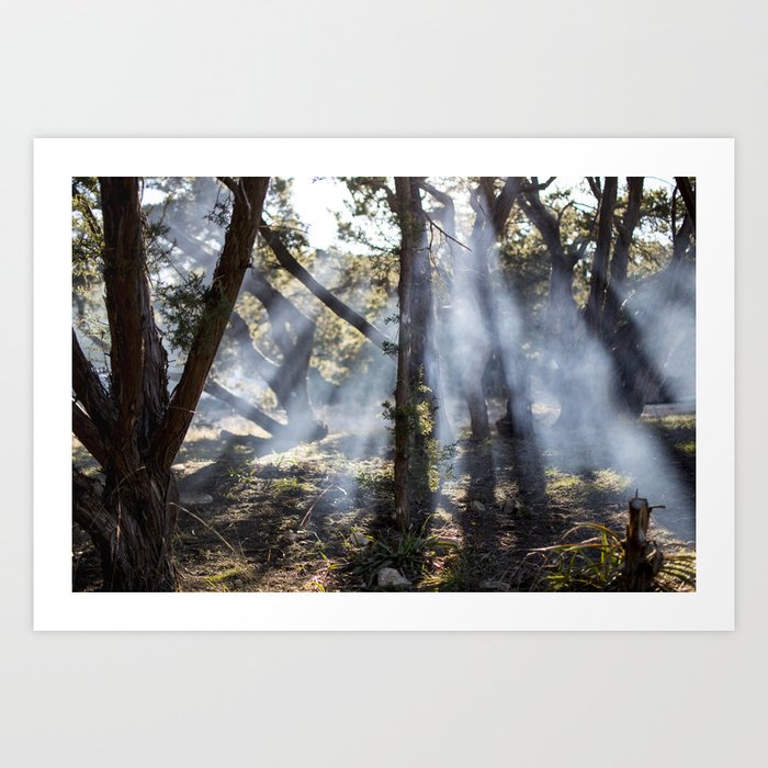 Smokey Forest Art Print