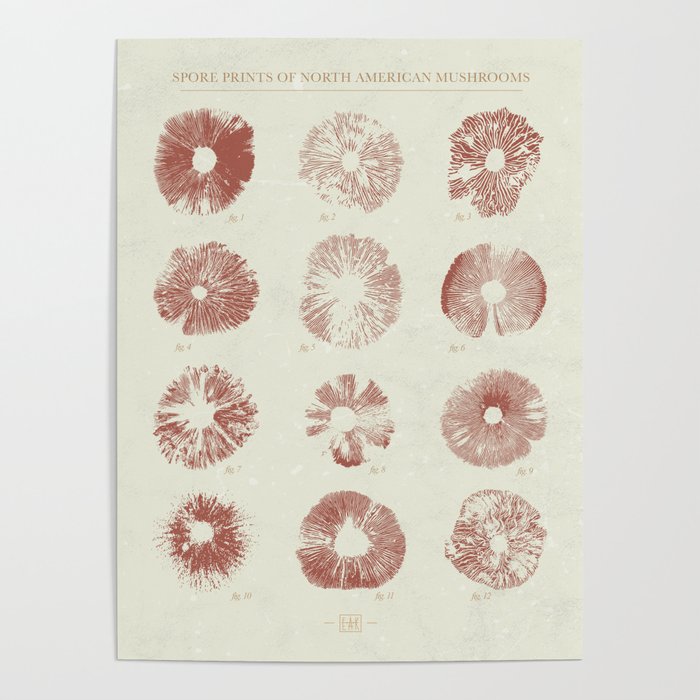 Spore Prints of North American Mushrooms (Vintage Red on White) Poster