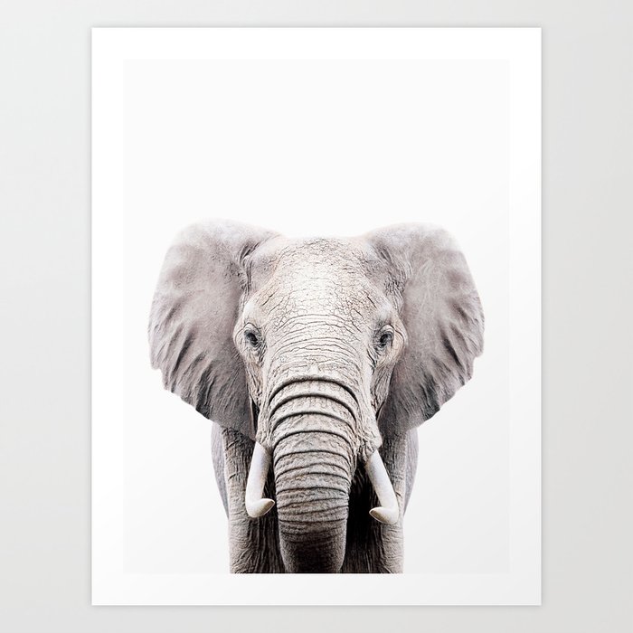 Art Print
