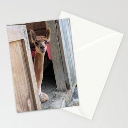 Why Hello! Stationery Card