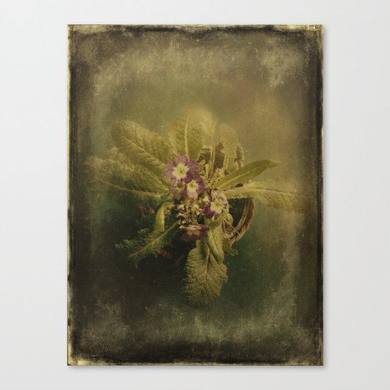 Little Winter Flower Canvas Print
