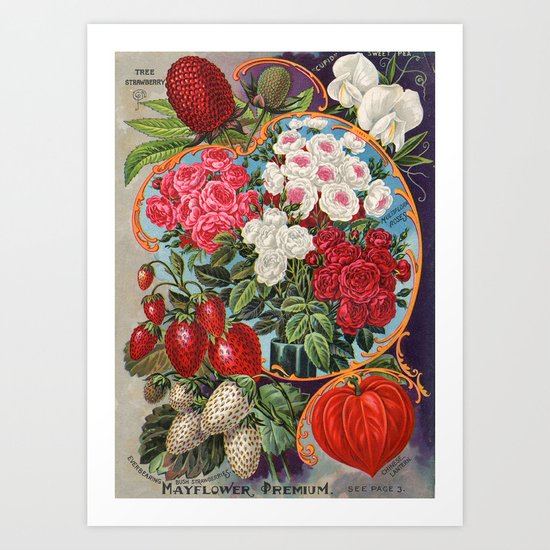 Antique seed mix Art Print
