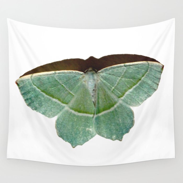 Goodenough Moth Wall Tapestry