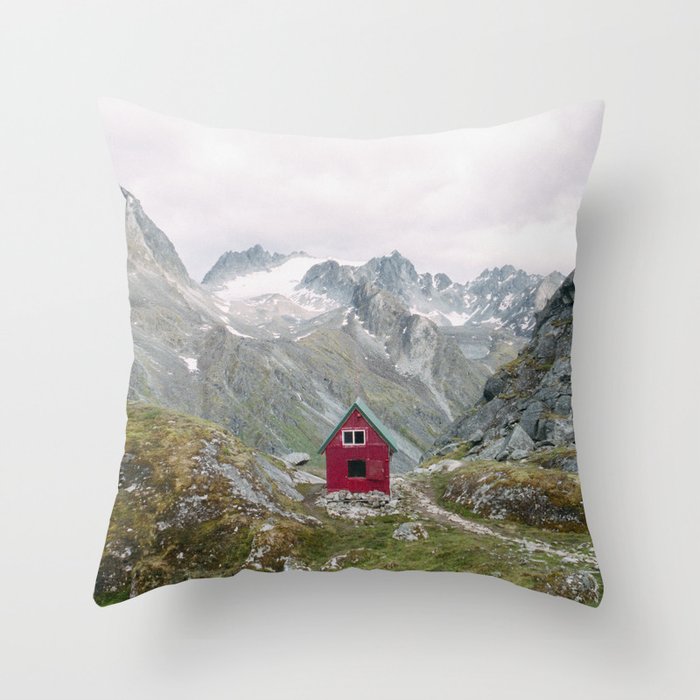 Throw Pillow