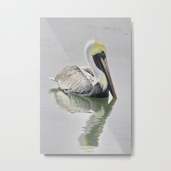 Reflective Pelican Metal Print
