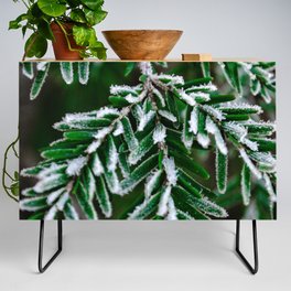 Frosted Hemlock Credenza