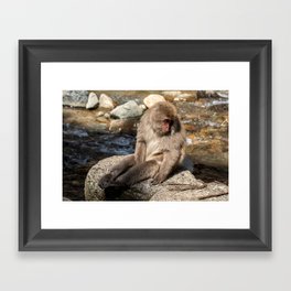 Macaque Thinking Framed Art Print