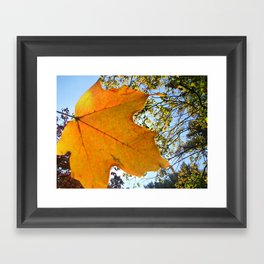 Falling Leaves Framed Art Print