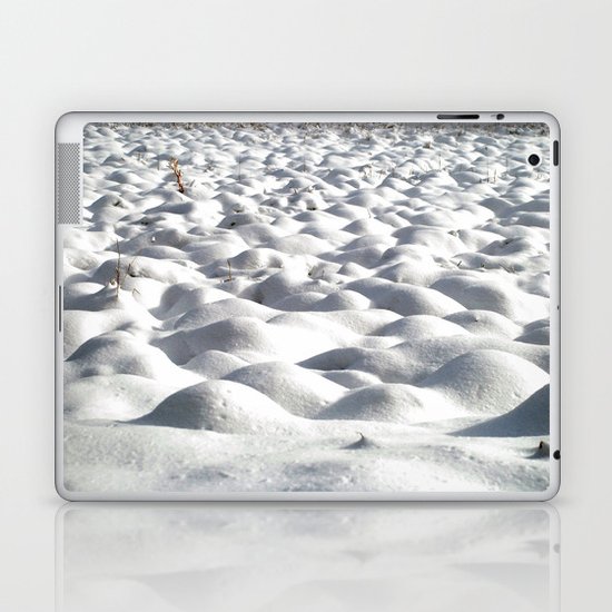 Snoww Laptop & iPad Skin