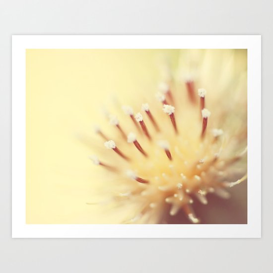 Thistle Go Pop Art Print