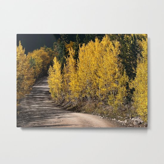 Autumn Road Metal Print
