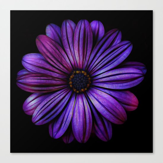 Bloom In Purple Canvas Print