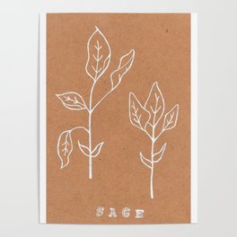 Sage Art Print Design —Herbal Botanical Drawing — Art Print —White Ink Sage Art Print Poster