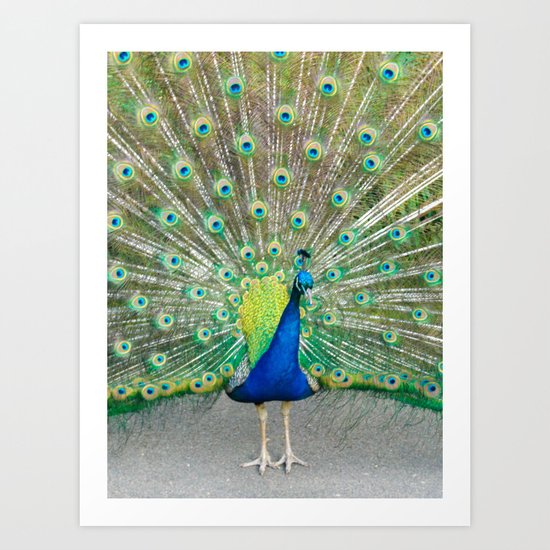 Coat of Many Colors Art Print
