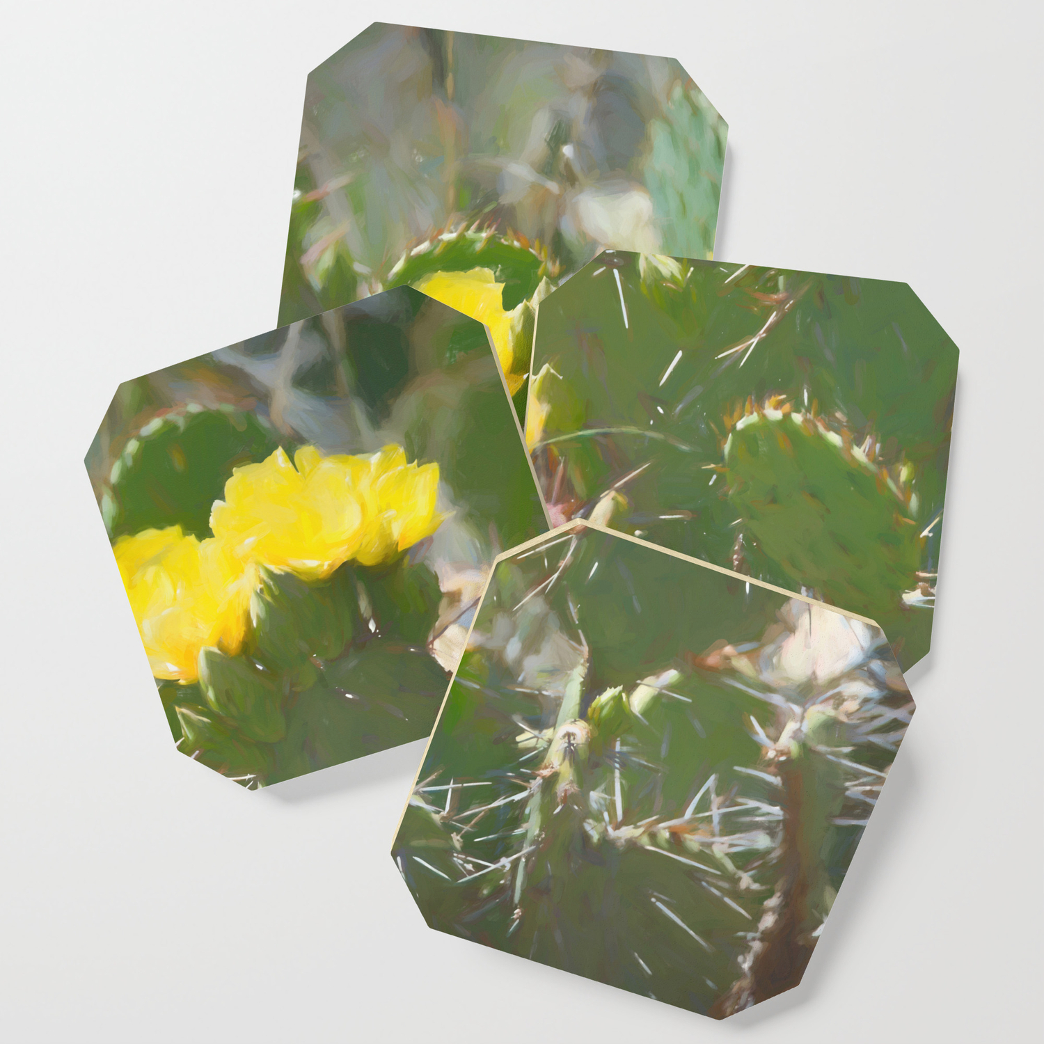 Cactus Flower Painting Coaster By Andreaanderegg Society6