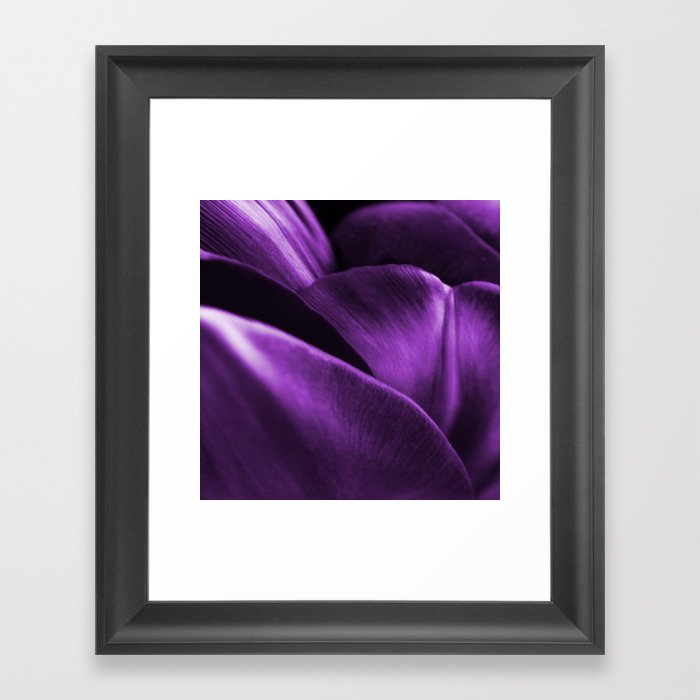 Ultraviolet Flower Petals #decor #society6 #buyart Framed Art Print