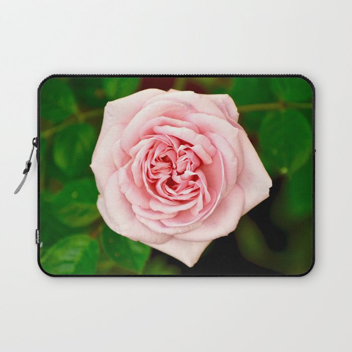 Beautiful Pink Rose Laptop Sleeve