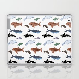 Whales & Dolphins Laptop Skin