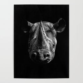 Black Rhino Head Poster